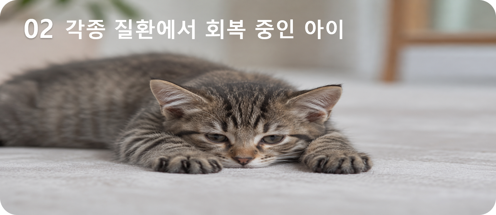 02 항암 중인 아이