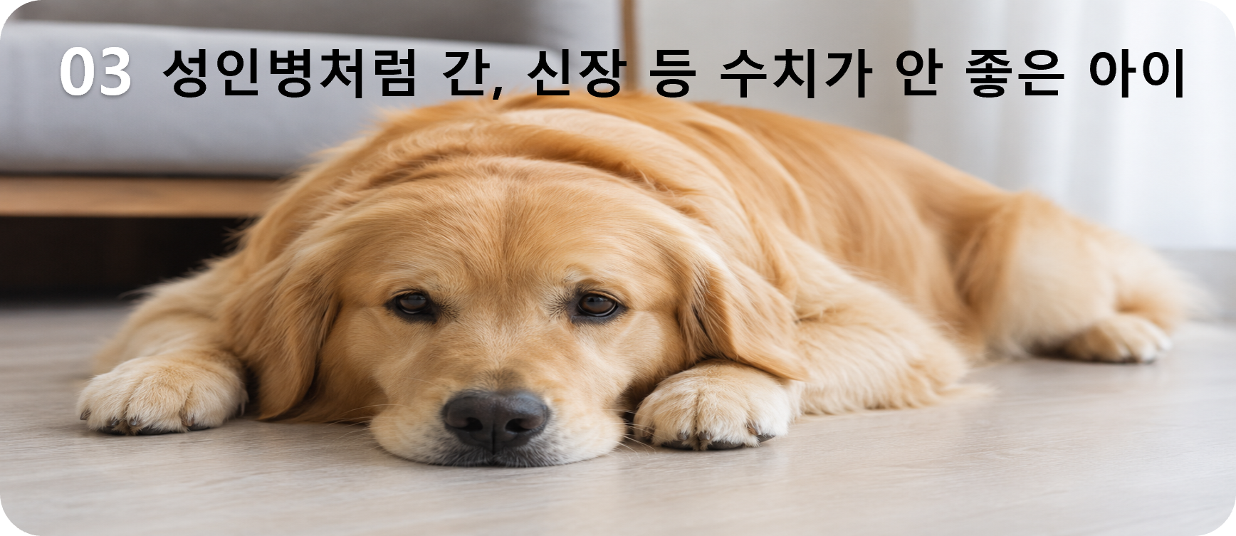 03 노환이 나타나는 아이