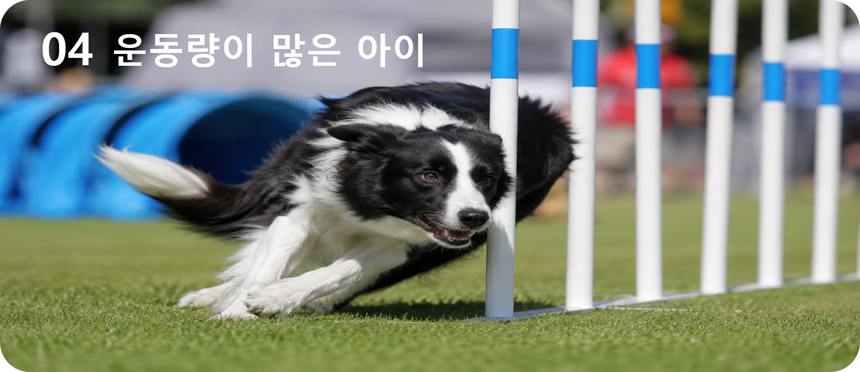 04 노화 예방이 필요한 아이