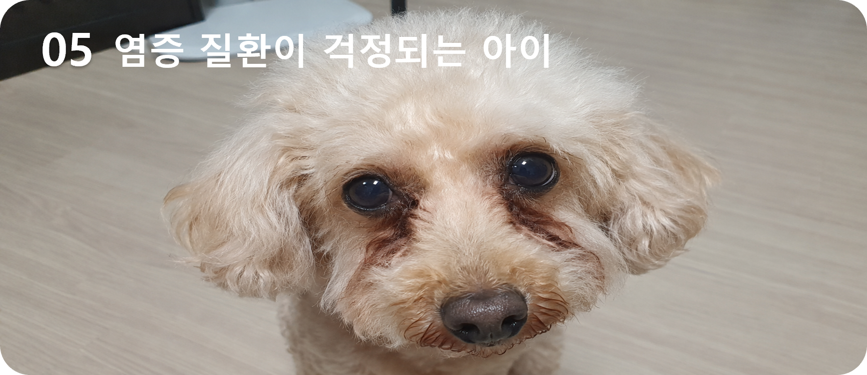 05 염증 관리가 필요한 아이